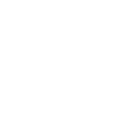 画板5